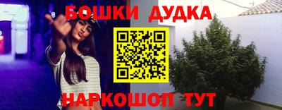 ПСИЛОЦИБИНОВЫЕ ГРИБЫ Дубна