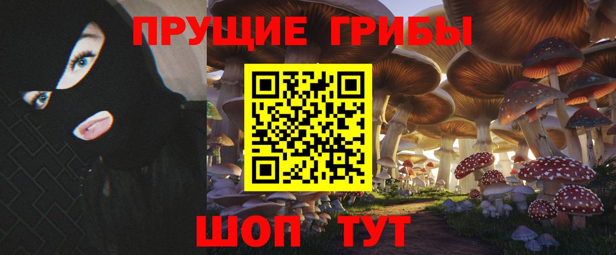 Галлюциногенные грибы прущие грибы Кузнецк