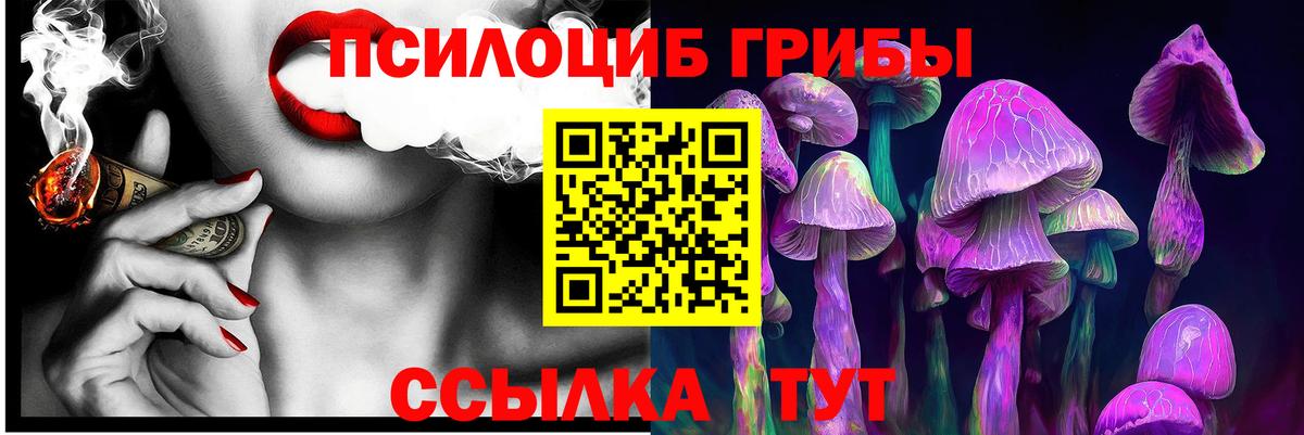 цена   Галлюциногенные грибы Magic Shrooms  Вход с VPN  Кузнецк 